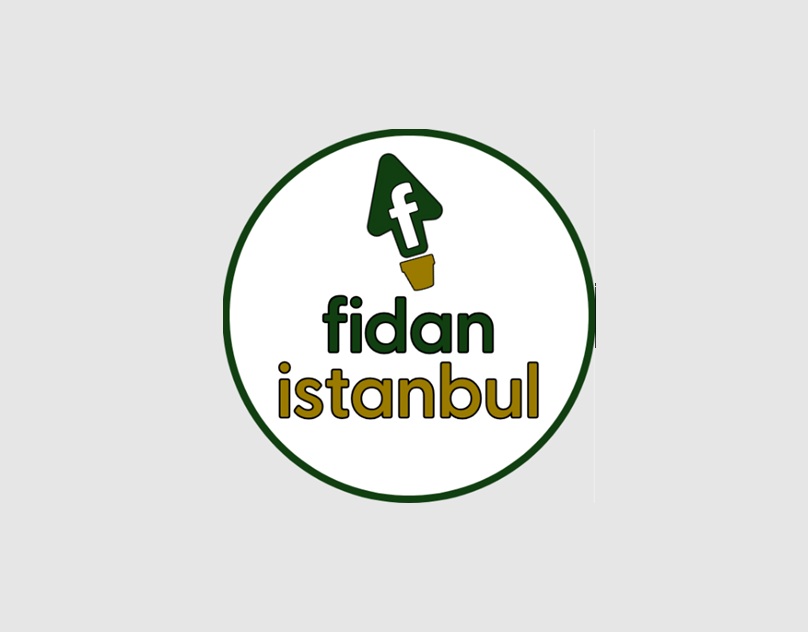 En Doğru Meyve Fidanı Seçimi ile Verimli Bahçeler