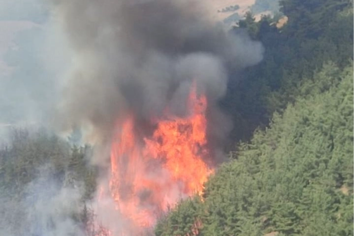 Bursa’da orman yangını güncel durum: Alevler yeniden şiddetlendi, çalışmalar sürüyor