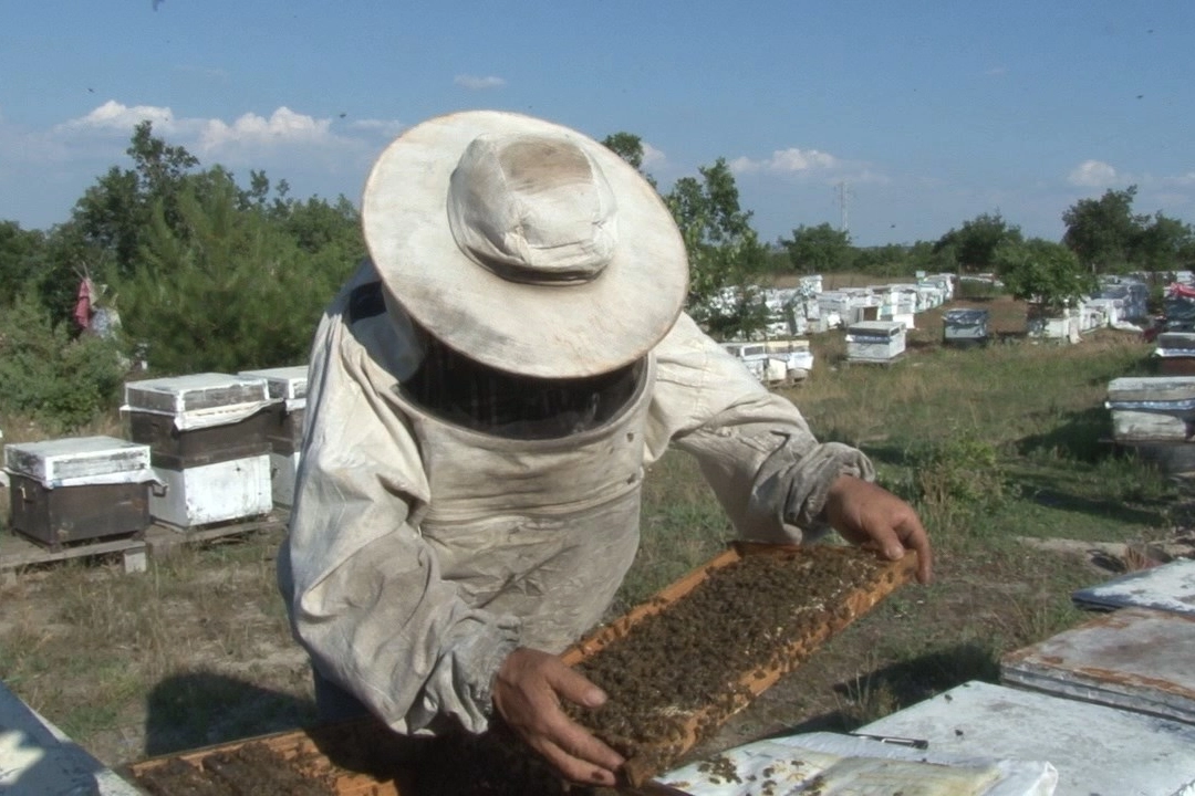 Edirne Keşan’da arıcılar zor günler geçiriyor